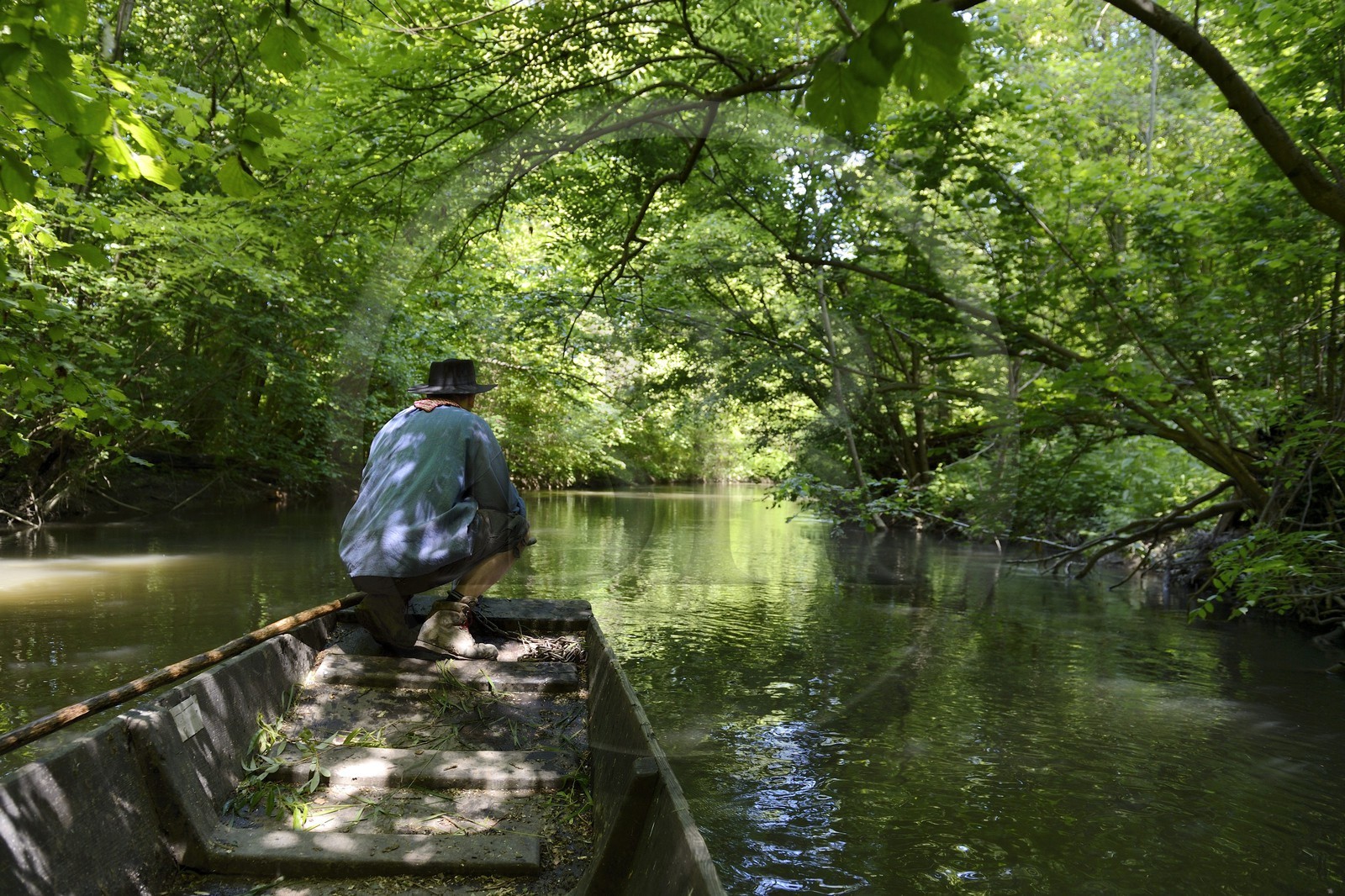 France, Bas-Rhin (67), région d'Ebersmunster et Muttersholtz, le Grand Ried, le batelier Patrick Unterstock dans une barque à fond plat en bois sur la rivière l'Ill
