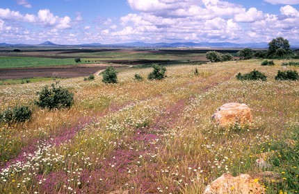 Spain, Estremadura, Landscape, north of Don Benito, View of the Sierra del Villar