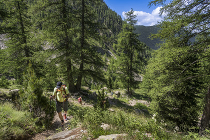 France, Alpes-Maritimes (06), parc national du Mercantour, Haute-Vésubie, Saint-Martin-Vésubie, Val du Haut Boréon, randonneurs en marche pour le lac de Trécolpas