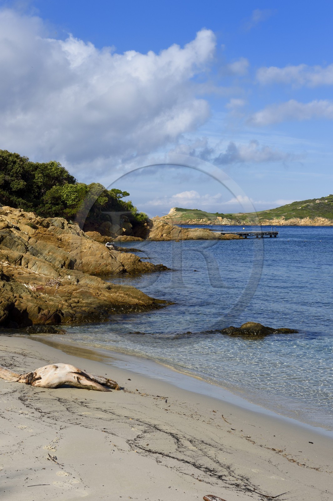France, Var (83), Iles d'Hyères, parc national de Port Cros, Ile de Port-Cros, plage du Sud