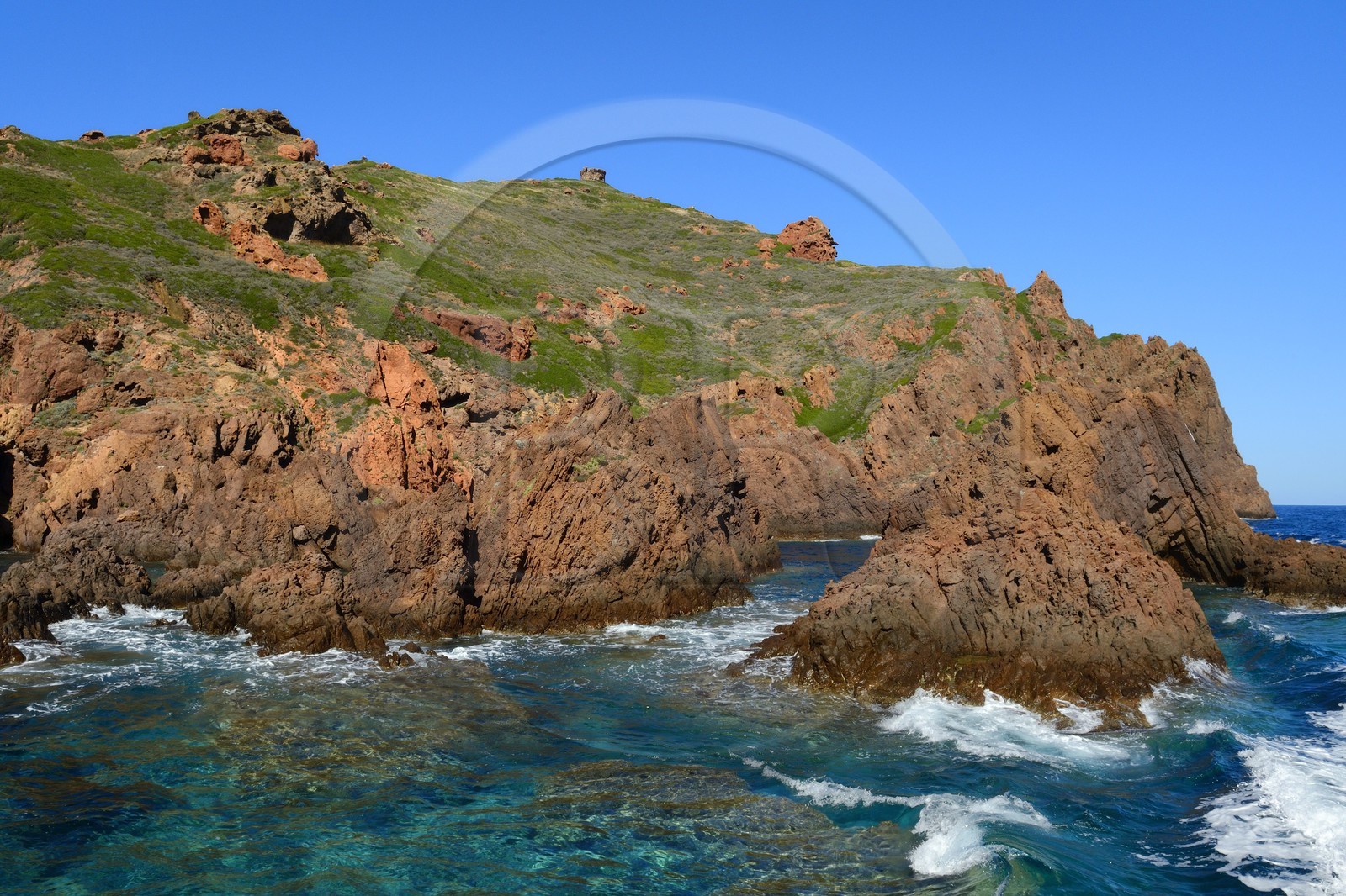 France, Corse-du-Sud (2A), Golfe de Porto, classé Patrimoine Mondial de l'UNESCO, Réserve naturelle de Scandola, Ile de Gargalo dominée par une ancienne tour génoise