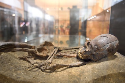 France, Dordogne, Perigord Noir, Vezere Valley, Les Eyzies de Tayac Sireuil, listed as World Heritage by UNESCO, Musee de la Prehistoire (Museum of Prehistory), Qafzeh (Israel) double burial 9 and 10 of Homo sapiens sapiens dating from around 100,000 years BP