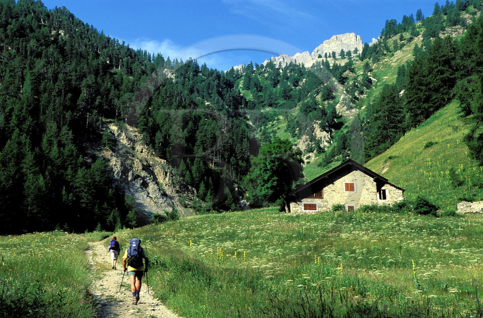 France, Hautes-Alpes (05), randonneurs et un chalet d'alpage dans la Vallée Etroite au nord de Briançon