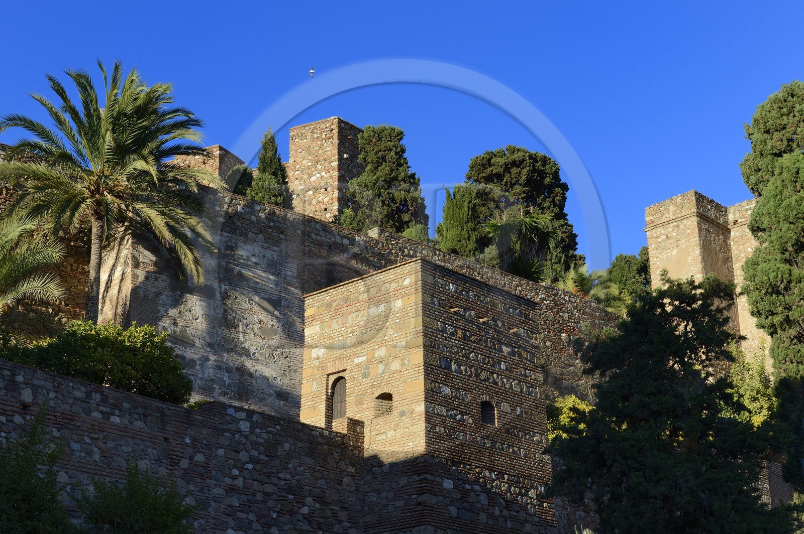 Espagne, Andalousie, Malaga, la Alcazaba