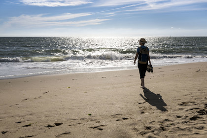 France, Vendée (85), Talmont-Saint-Hilaire, la Pointe du Payré, randonneur sur la plage du Veillon