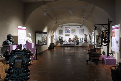 France, Hérault (34), Béziers, musée du Biterrois