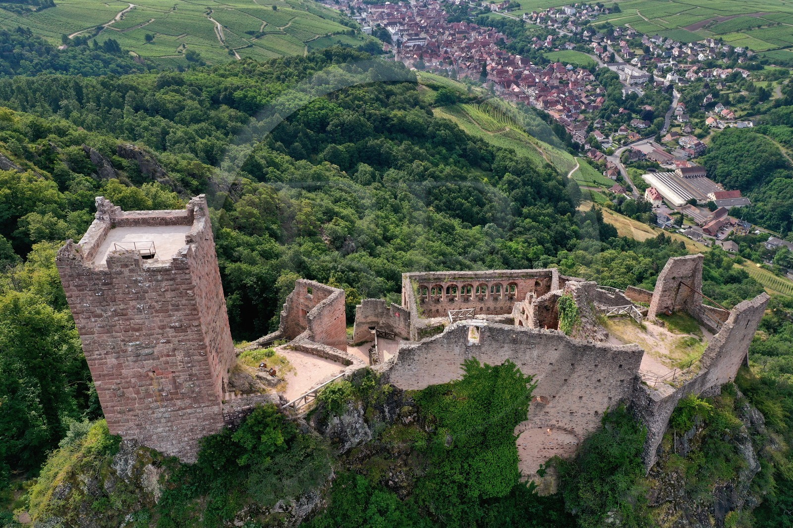 France, Haut-Rhin (68), Route des vins d'Alsace, Ribeauvill