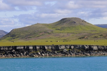 Islande, Région de Reykjavik, vallée de Krisuvik, le lac de Grainvatn au sud du lac Kleifarvatn