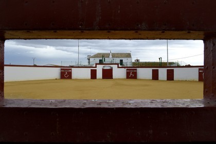 Espagne, Andalousie, province de Séville, Utrera, domaine El Toruno, élevage de taureaux de combat, une des arenes d'entrainements