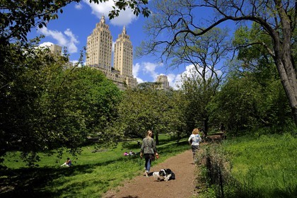 Etats-Unis, New York, Manhattan, Upper West side, l'immeuble El Dorado vu depuis Central Park