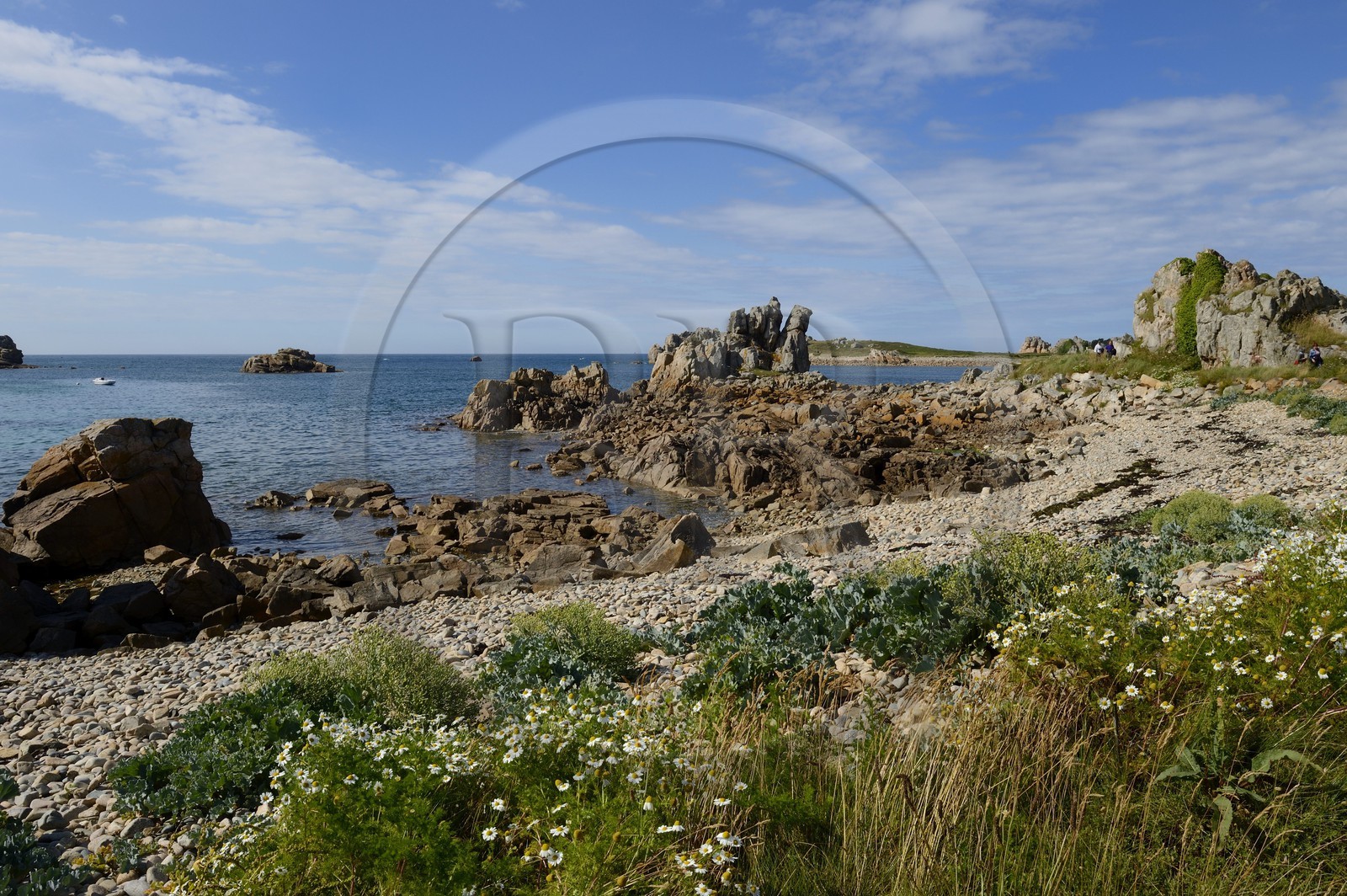France, Côtes-d'Armor (22), Côte d'Ajoncs, Plougrescant, Anse de Pors Scaff