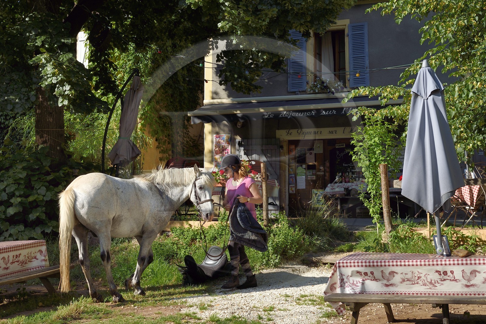 France, Dordogne (24), Périgord Noir, vallée de la Vézère, Saint-Léon-sur-Vézère, labellisé Les Plus Beaux Villages de France, une cavalière et son cheval