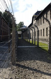 Poland, Silesian region, near Krakow, village of Oswiecim, the camp of extermination of Auschwitz, listed as World Heritage by UNESCO, electrified barbed wires which surrounded the camp