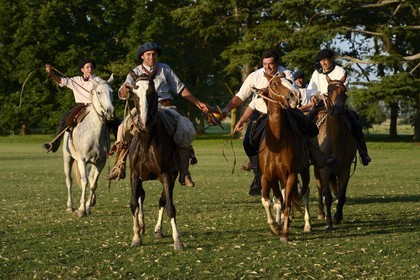 Argentine, province de Buenos Aires, San Antonio de Areco, estancia La Bamba de Areco, gauchos jouant au Pato (horse-ball) qui est un sport d’équipe équestre, mélange de rugby et de basket à cheval
