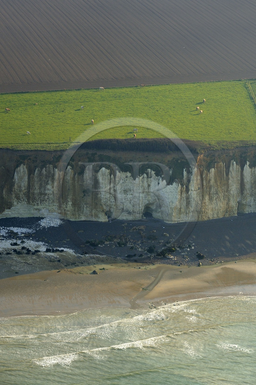 France, Seine-Maritime (76), Pays de Caux, Sotteville-sur-Mer, falaises calcaires de la Côte d'Albâtre (vue aérienne)