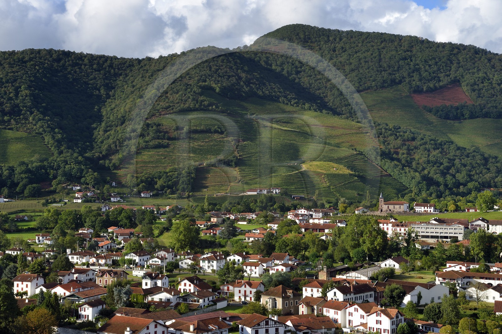 France, Pyrénées-Atlantiques (64), Pays-Basque, Saint-Jean-Pied-de-Port, les vignes de la colline d'Ispoure