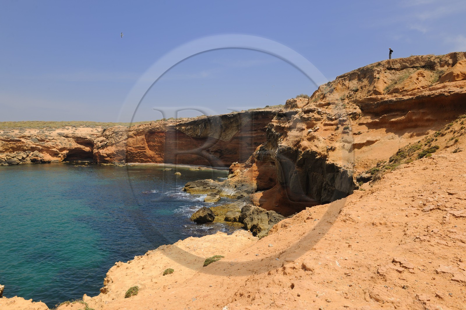Maroc, région de l'Oriental, falaises de la Mer Rouge à l'ouest de Mediterrania Saïdia