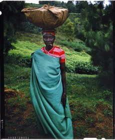 Burundi, Bujumbura Province, Ijenda area, Tutsi woman going to the market, women carry loads on their heads like in most African countries (4x5 reversal film reproduction)