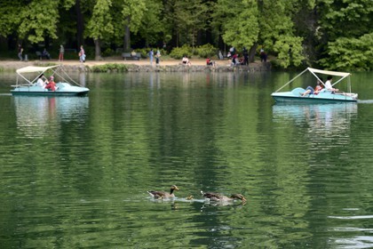 France, Rhone, Lyon, Parc de la Tete d'Or (Tete d'Or park), the Lake