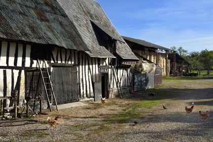 France, Seine-Maritime (76), Parc naturel régional des Boucles de la Seine normande, hameau de Beaulieu à Bardouville, la ferme de Simone Vauclin