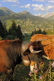 Suisse, canton de Vaud, Les Diablerets