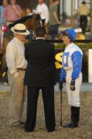 Republic of Ireland, County Meath, Ratoath, Fairyhouse racecourse, a jockey