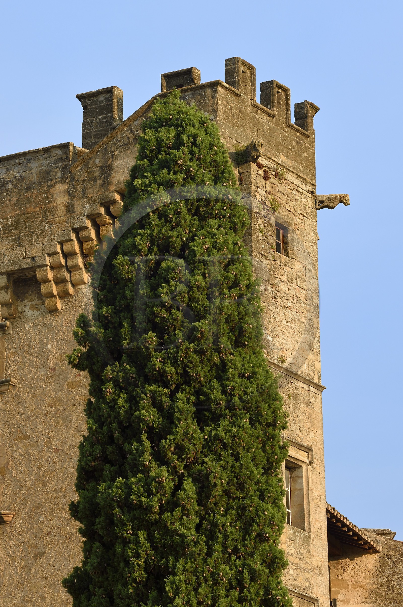 France, Vaucluse (84), Parc Naturel Regional du Luberon, Lourmarin, labellisé Les Plus Beaux Villages de France, le chateau des XVè et XVIè siècles Renaissance