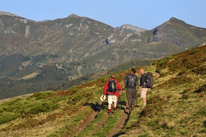 France, Cantal (15), Parc Naturel Régional des Volcans d'Auvergne, Le Lioran, col de Rombière, randonneurs sur le chemin de Saint-Jacques de Compostelle par la Via Arverna, le puy et les Fours de Peyre Arse en arrière plan