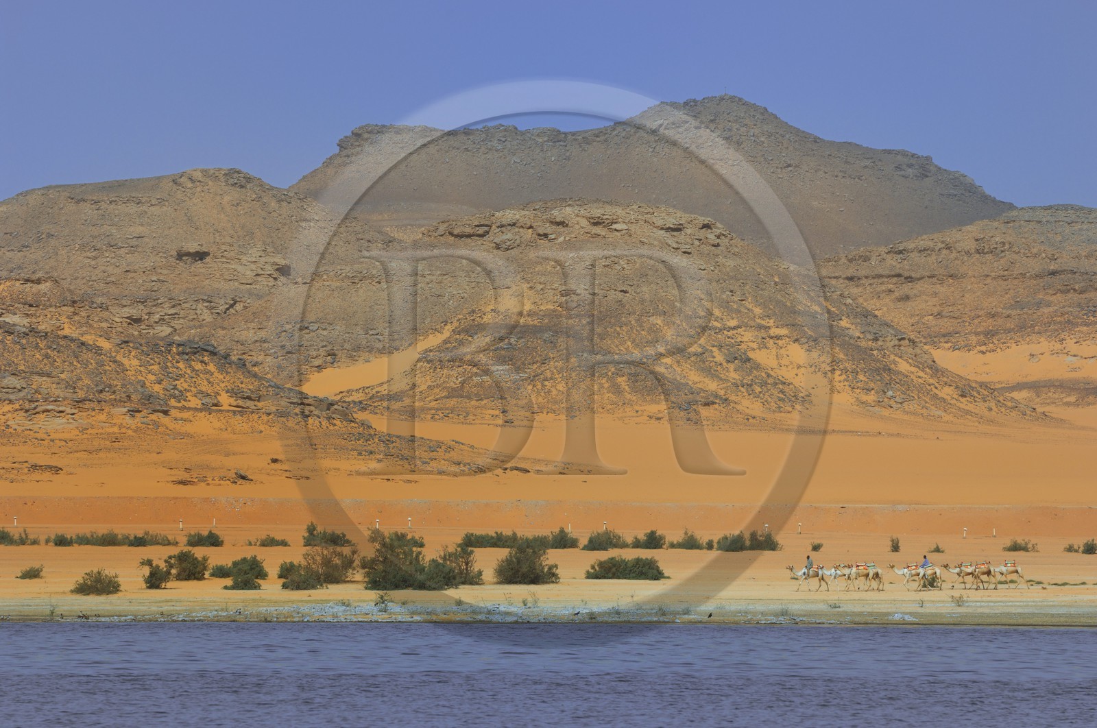 Egypt, Upper Egypt, Lake Nasser, Nubia desert, Wadi es-Sebua site or Valley of the Lions, camel caravan