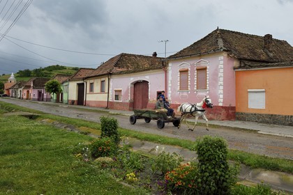 Romania, Transylvania, horse carriage in the village of Brateiu