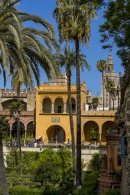 Spain, Andalusia, Seville, the Alcazar of Seville (Reales Alcazares de Sevilla), listed as World Heritage by UNESCO, the gardens and the Palacio Gotico