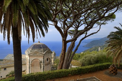 France, Haute Corse, Cap Corse, Pino