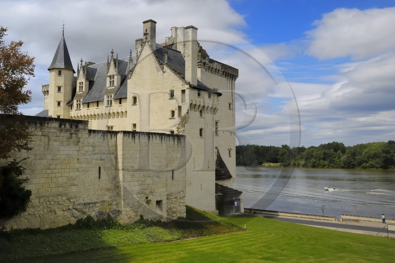 France, Maine-et-Loire (49), Vallée de la Loire classée Patrimoine Mondial de l'UNESCO, Montsoreau, labellisé Les Plus Beaux Villages de France, Château de Montsoreau au bord de la Loire, reconstruit au XV siècle