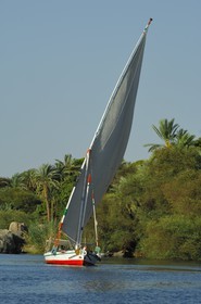 Egypt, Upper Egypt, Nile Valley, Aswan, felucca on the Nil around the Elephantine Island