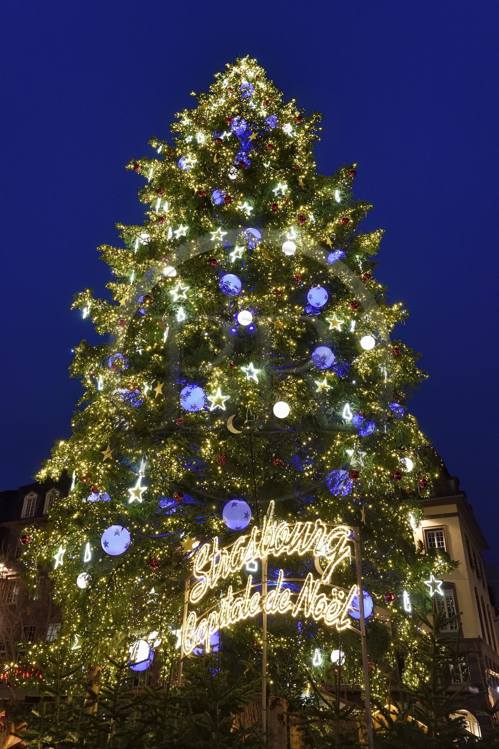 France, Bas Rhin, Strasbourg, old town listed as World Heritage by UNESCO, the big Christmas tree in place Kléber