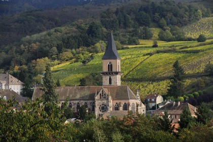 France, Haut Rhin, Ribeauville