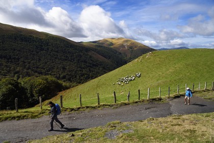 France, Pyrenees Atlantiques, Basque Country, Camino de Santiago (the Way of St. James) on the GR 65 between Saint Jean Pied de Port and Roncesvalles, pilgrims towards the Bentarte Pass