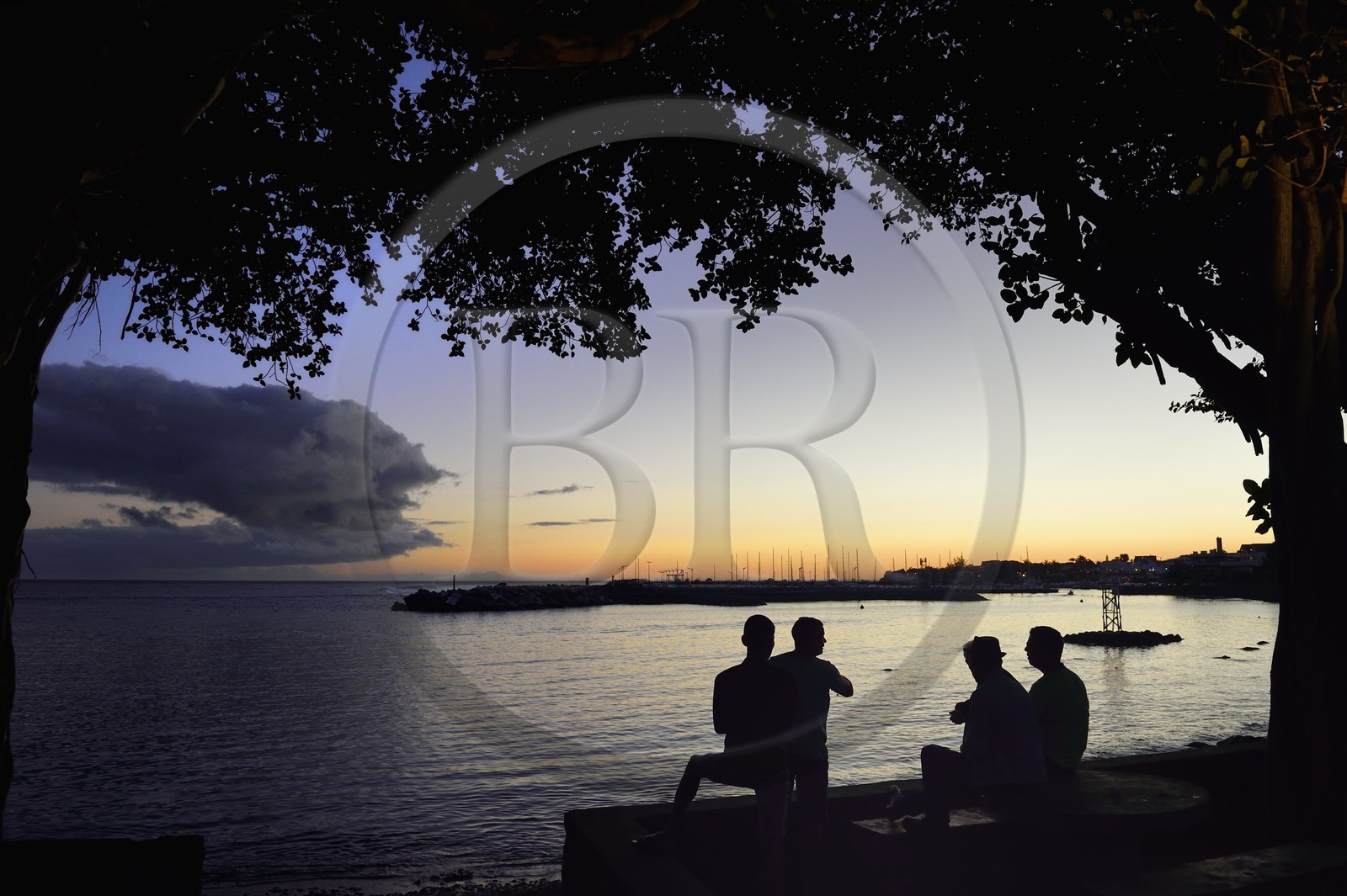 France, Ile de la Reunion, ville de Saint-Pierre, quartier de Terre Sainte