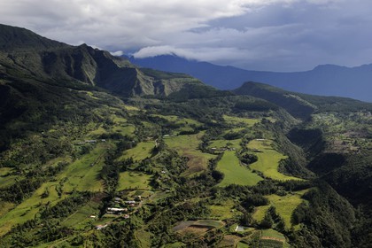 France, Reunion island (French overseas department), the Makes state forest on the edge of the cirque of Cilaos (aerial view)