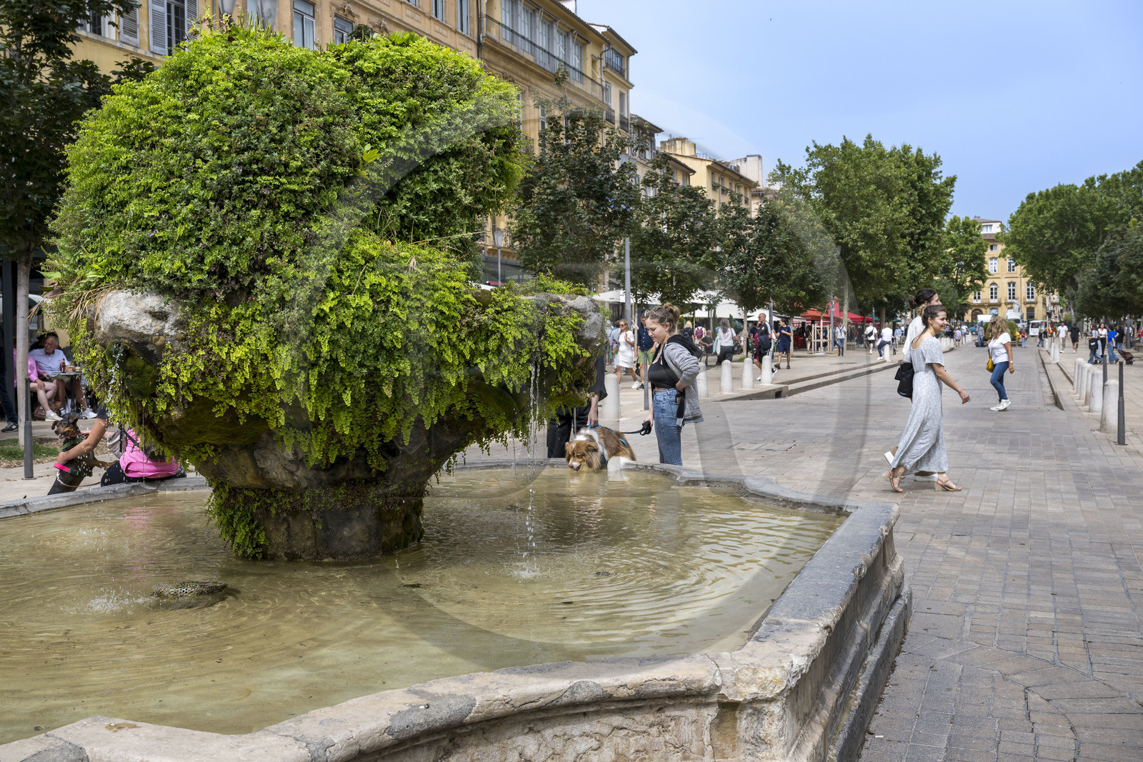 France, Bouches du Rhone, Aix en Provence, Cours Mirabeau, main artery of the city, fountain of the 9 cannons
