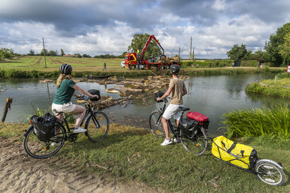 France, Deux-Sèvres (79), le Marais Poitevin, la Venise Verte, Magné, randonnée à bicyclette le long de la Sèvre Niortaise, flottage du bois