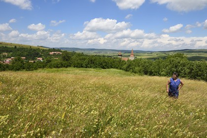 Romania, Transylvania, Sighisoara region, farmer in a meadow overlooking the village of Movile and its fortified church