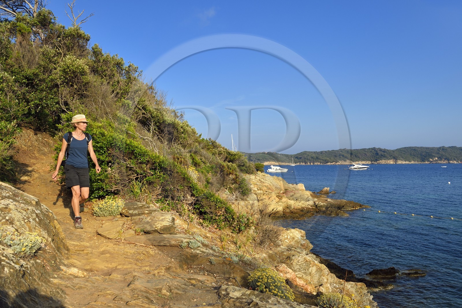 France, Var (83), Iles d'Hyères, parc national de Port Cros, Ile de Port-Cros, randonneuse dans une crique faisant face à l'Ile de Bagaud qui est une réserve intégrale