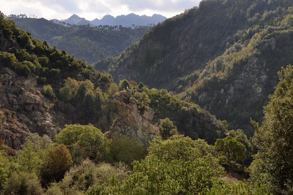 France, Corse-du-Sud (2A), Vallée du Prunelli, gorges du Prunelli