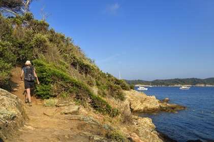 France, Var (83), Iles d'Hyères, parc national de Port Cros, Ile de Port-Cros, randonneuse dans une crique faisant face à l'Ile de Bagaud qui est une réserve intégrale