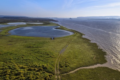 France, Seine-Maritime (76), Réserve Naturelle de l'estuaire de la Seine, cargo descendant la Seine depuis Rouen, le pont de Tancarville en arrière plan (vue aérienne)