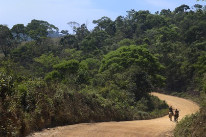 Brésil, Etat du Minas Gerais, sur la piste de l'ancienne route de l'or de Serro à Conceiçao do Mato Dentro (Route de l'or, Estrada Real)