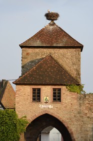France, Bas-Rhin (67), Route des Vins d'Alsace, porte médiévale nord de Dambach-la-Ville