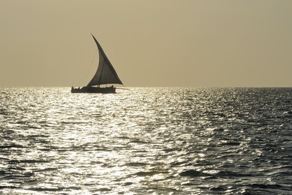 Tanzanie, archipel de Zanzibar, île de Unguja (Zanzibar), côte ouest, un dhow (boutre traditionnel)
