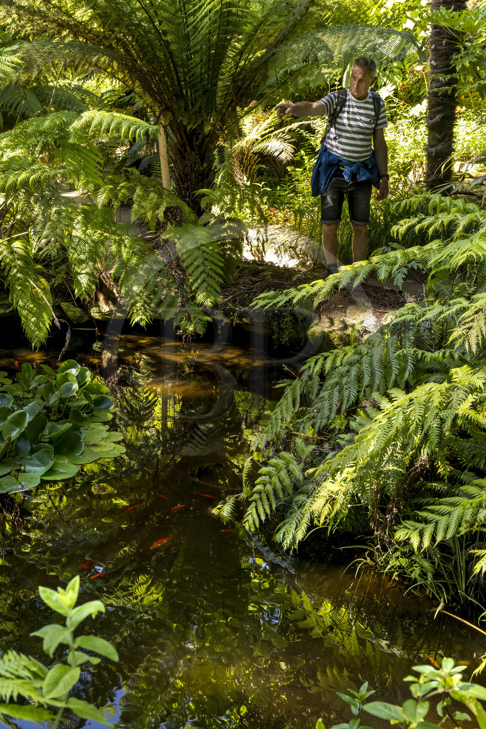 France, Finistère (29), Iles du Ponant, Ile de Batz, jardin Georges Delaselle ou jardin colonial, jardin exotique présentant une collection botanique provenant des cinq continents, Nicolas Seité membre de l’association Les Dragons de l’Ile de Batz nous guide à travers l'ile